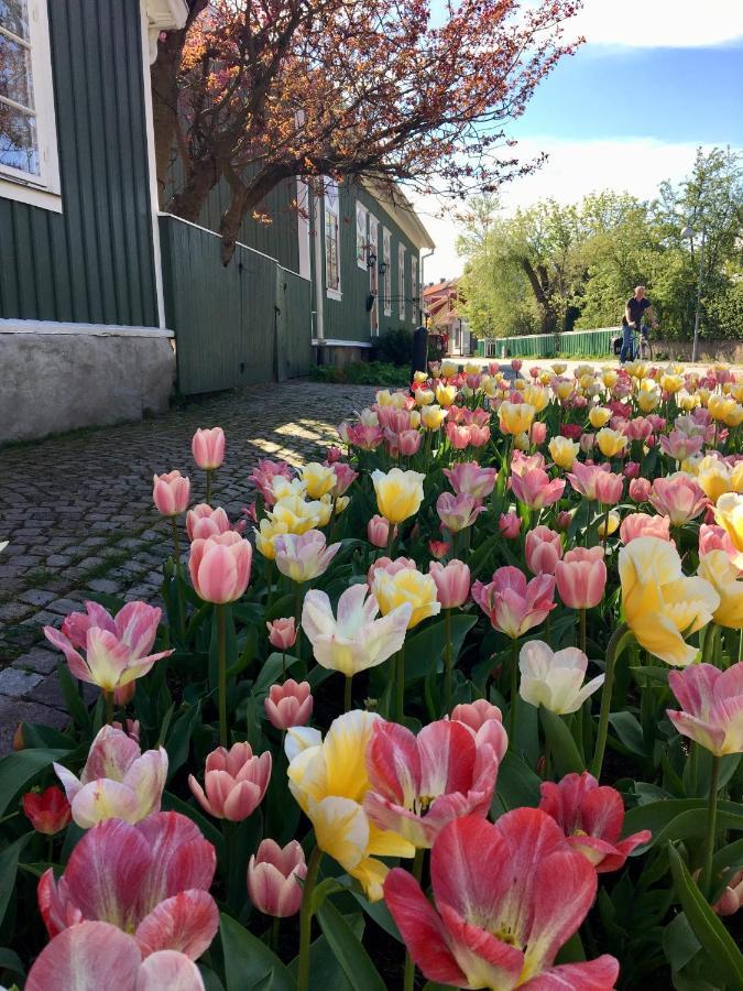 Hotell Hamngatan 27 ฟัลเคนเบิร์ก ภายนอก รูปภาพ